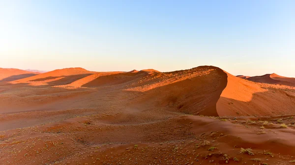 Namib kum deniz - Namibya