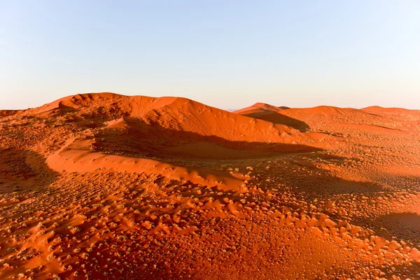 Namib písečného moře - Namibie — Stock fotografie