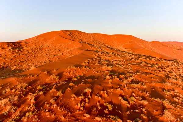 Namib zand zee - Namibië — Stockfoto