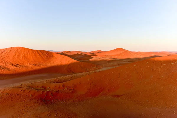 Wielkie morze piasku Namib - Namibia — Zdjęcie stockowe