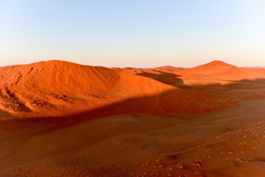 Namib kum deniz - Namibya