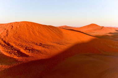 Namib kum deniz - Namibya