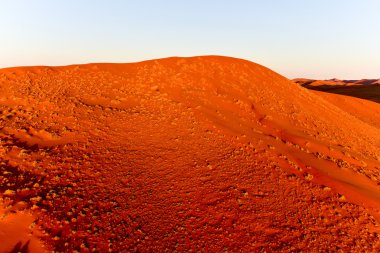 Namib kum deniz - Namibya