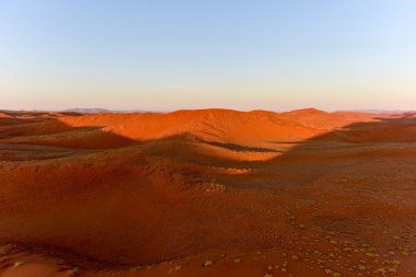 Namib kum deniz - Namibya