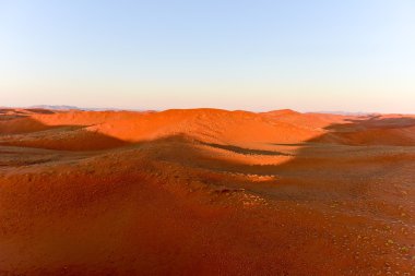 Namib kum deniz - Namibya