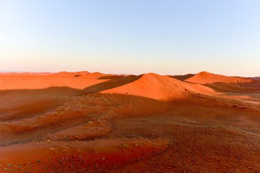 Namib kum deniz - Namibya