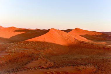 Namib kum deniz - Namibya