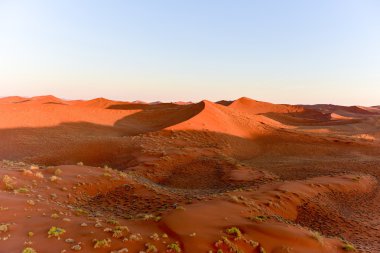 Namib kum deniz - Namibya