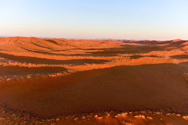Namib kum deniz - Namibya