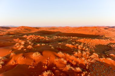 Namib kum deniz - Namibya