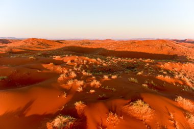 Namib kum deniz - Namibya