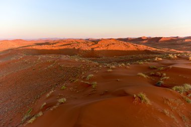 Namib kum deniz - Namibya