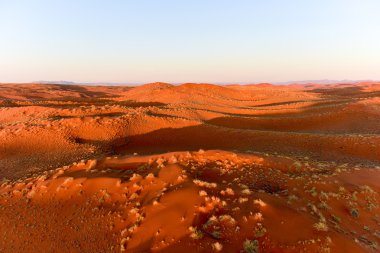 Namib kum deniz - Namibya