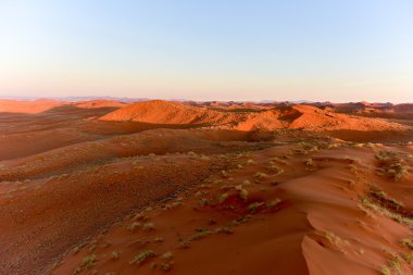 Namib kum deniz - Namibya