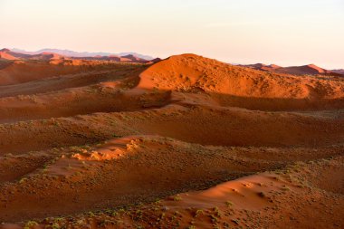 Namib kum deniz - Namibya