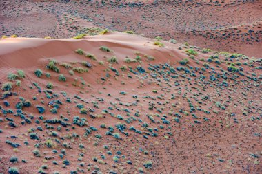 Namib kum deniz - Namibya