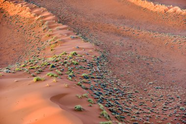 Namib kum deniz - Namibya