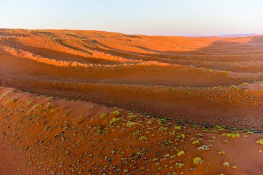 Namib kum deniz - Namibya