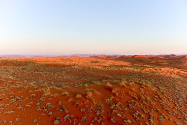 Namib kum deniz - Namibya
