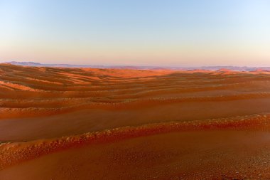 Namib kum deniz - Namibya