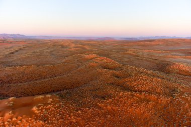 Namib kum deniz - Namibya