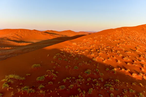 Namib sand meer - namibia — Stockfoto