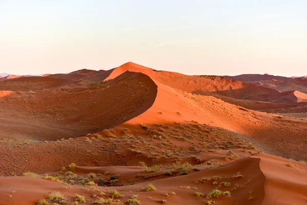Namib kum deniz - Namibya