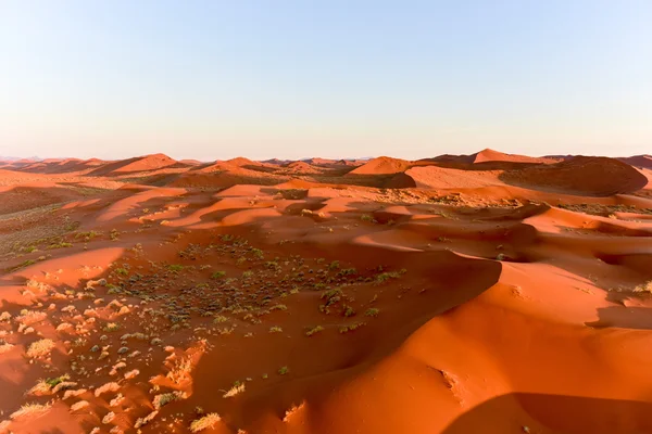 Namib zand zee - Namibië — Stockfoto