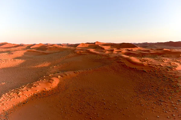 Namib písečného moře - Namibie — Stock fotografie