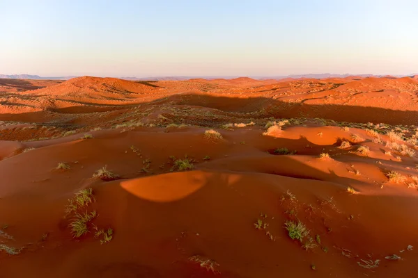 Namib kum deniz - Namibya
