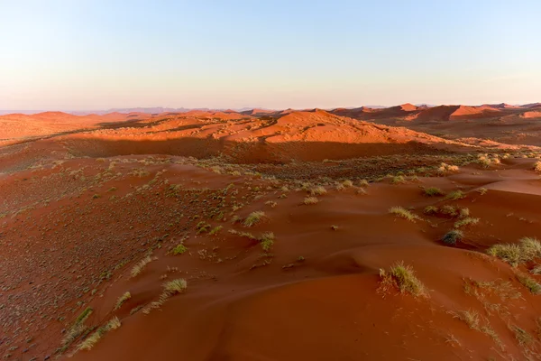 Namib kum deniz - Namibya