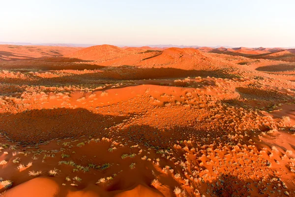 Namíb homoktengerben - Namíbia — Stock Fotó