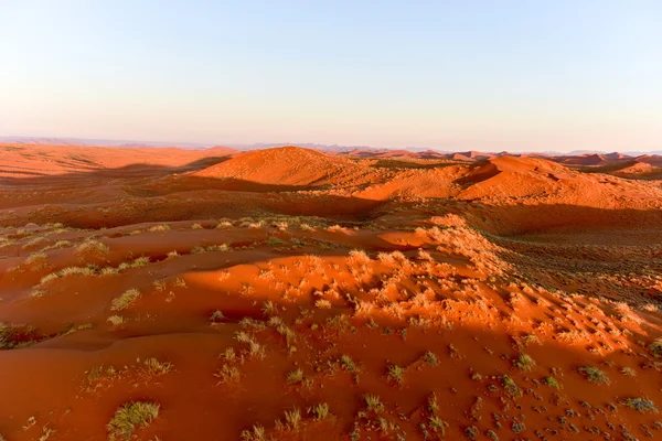 Намибское песчаное море - Намибия — стоковое фото
