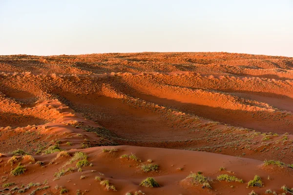 Namib пісок моря - Намібії — стокове фото