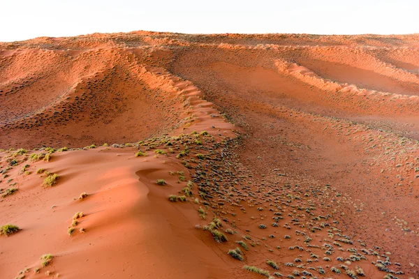 Namib zand zee - Namibië — Stockfoto