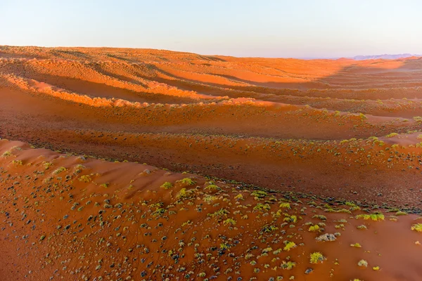 Namib kum deniz - Namibya