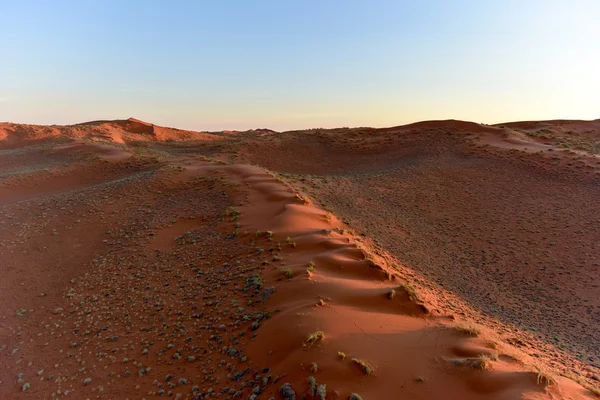 Wielkie morze piasku Namib - Namibia — Zdjęcie stockowe