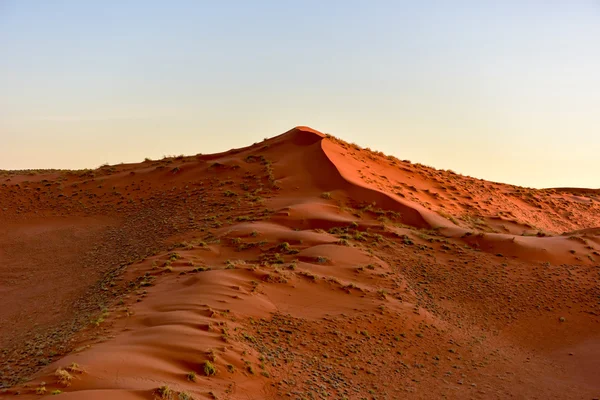 沙漠砂海-纳米比亚 — 图库照片