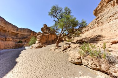 Sesriem Kanyonu - Sossusvlei, Namibya
