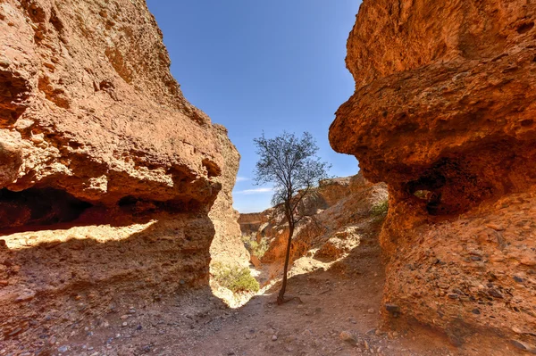 Místě zvaném Sesriem Canyon - Sossusvlei, Namibie — Stock fotografie