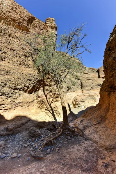 Il canyon di Sesriem - Sossusvlei, Namibia — Foto Stock