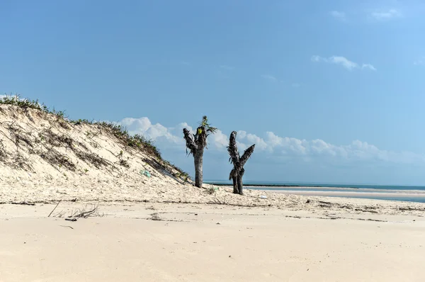 Île de Magaruque - Mozambique — Photo