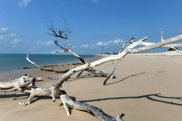 Isola di Magaruque - Mozambico — Foto Stock