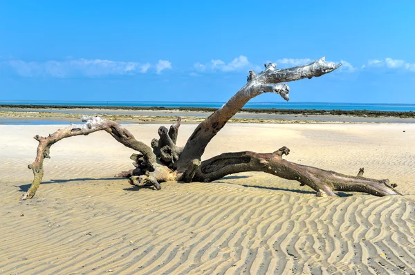 Остров Магарук - Мозамбик — стоковое фото