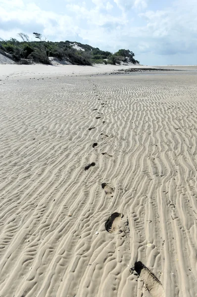 Île de Magaruque - Mozambique — Photo