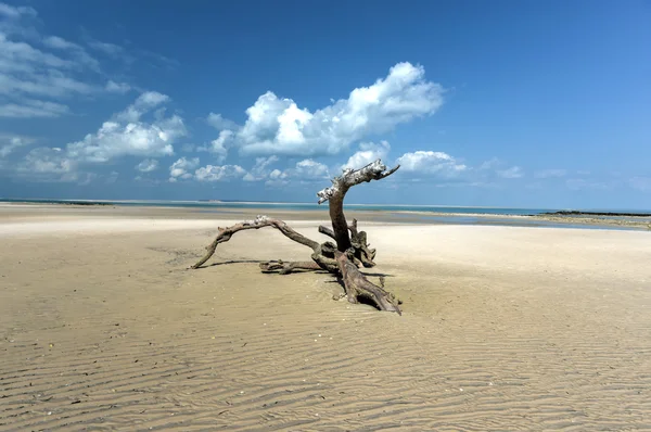 Остров Магарук - Мозамбик — стоковое фото