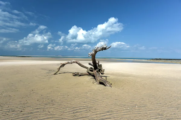 Isla de Magaruque - Mozambique —  Fotos de Stock