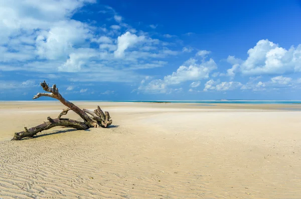 Ilha de Magaruque - Moçambique — Fotografia de Stock