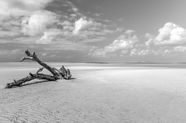 Ilha de Magaruque - Moçambique — Fotografia de Stock