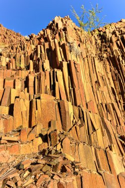 Organ borular - Twyfelfontein, Damaraland, Namibya